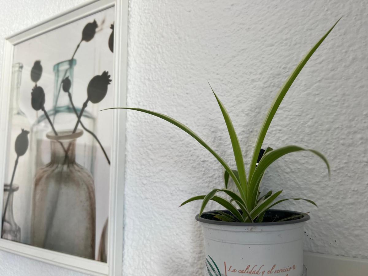 Studio 34 Valence Extérieur photo